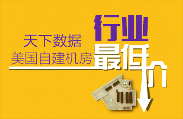 业内最专业团队服务器代理维护