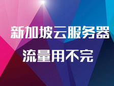 新加坡云服务器 流量更多业务更简单